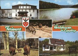 41276244 Hardehausen Wappen Wildschweine Bison Haus Verlemann Waldcafe Rehwinkel - Warburg