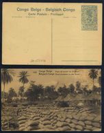 CONGO BELGE - KASAI / ENTIER POSTAL ILLUSTRE (ref 2641) - Ganzsachen