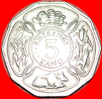 √ COW* TANZANIA ★ 5 SHILLINGS 1980! LOW START ★ NO RESERVE! - Tanzanie