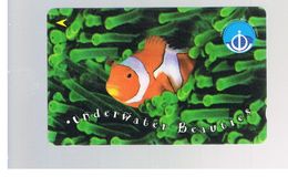 SINGAPORE -  1998  MARINE LIFE: FISH - USED -   RIF. 10425 - Vissen