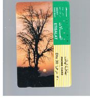 EMIRATI ARABI UNITI (UNITED ARAB EMIRATES) - 1991 TREE AT SUNSET                 - USED -  RIF.  10426 - Emirati Arabi Uniti