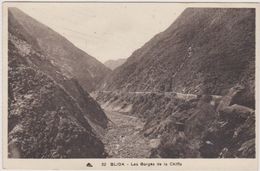 AFRIQUE DU NORD,africa,ALGERIE,BLIDA EN 1937,la Ville Des Roses,pied ATLAS TELLIEN,gorges De La Chiffa - Blida