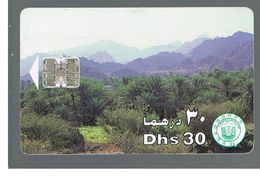 EMIRATI ARABI UNITI (UNITED ARAB EMIRATES)  -1996 PALM TREE GROVE - USED - RIF.  10442 - Emirati Arabi Uniti