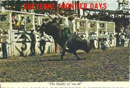 CHEYENNE  FRONTIER  DAYS    THE  DADDY  OF EM  ALL , ( Voir Verso ) - Cheyenne