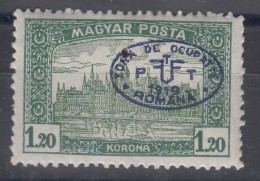 Hungary Debrecen Debreczin 1919 Magyar Posta Mi#73 Mint Hinged - Debrecen