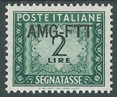 1949-54 TRIESTE A SEGNATASSE 2 LIRE MH * - W6-6 - Postage Due