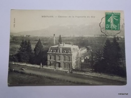 MOIRANS-Chateau De La Papeterie Du Say - Moirans