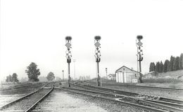 LAQUEVILLE - Signaux De Signalisation (photo 1973 Format Carte Ancienne). - Matériel