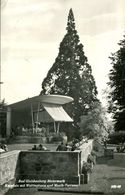 003174 Bad Gleichenberg - Kurplatz Mit Wellingtonia Und Musik-Terrasse 1961 - Bad Gleichenberg