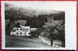 1950 POST PUCHBERG Schneeberg PENSION L. GSCHEIDER, LOSENHELM / AUSTRIA - Neunkirchen