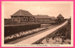 Le Home Des Enfants Du Hainaut à Bredene Sur Mer - Allée Principale - L'EDITION BELGE - EBB - Bredene