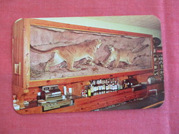 Charlie's Rustic Bar  Saratoga  - Wyoming   Ref 2913 - Autres & Non Classés