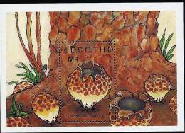 LESOTHO, CHAMPIGNONS, CHAMPIGNON, MUSHROOM, Setas, Yvert  BF 69 ** MNH - Champignons