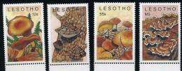 LESOTHO, CHAMPIGNONS, CHAMPIGNON, MUSHROOM, Setas, Yvert  N° 852/55 ** MNH - Champignons