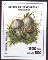 MADAGASCAR, CHAMPIGNONS, CHAMPIGNON, MUSHROOM, Setas, Yvert  BF 69** MNH - Mushrooms