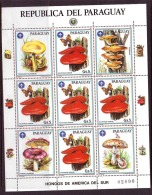 PARAGIUAY CHAMPIGNONS, CHAMPIGNON, MUSHROOM, Setas Yvert BF  Du Numero 2214  Avec Vignettes ** MNH, - Champignons