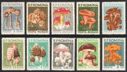 ROUMANIE CHAMPIGNONS, CHAMPIGNON, MUSHROOM, Setas, Yvert N° 1580/89 ** MNH - Champignons