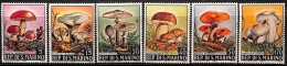 SAINT MARIN CHAMPIGNONS, CHAMPIGNON, MUSHROOM, Setas, Yvert N° 698/703 ** MNH - Mushrooms