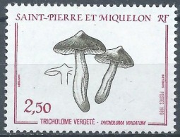 SAINT PIERRE MIQUELON CHAMPIGNONS, CHAMPIGNON, MUSHROOM, Setas, Yvert N° 497 ** MNH - Mushrooms