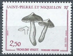 SAINT PIERRE MIQUELON CHAMPIGNONS, CHAMPIGNON, MUSHROOM, Setas, Yvert N° 497 ** MNH - Champignons