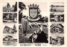 18-AUBIGNY-SUR-NERE- MULTIVUES - Aubigny Sur Nere