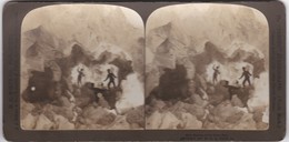 PHOTO PHOTOGRAPHY  - STEREOSCOPE - HAUNT OF THE POLAR BEAR - Stereoscopi