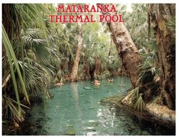 (400) Australia - NT - Mataranka Thermal Pool - Darwin