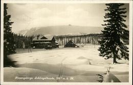 11247386 Schlingelbaude  Pec Pod Snezkou - Günzburg