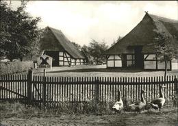 41261941 Klockenhagen Denkmalhof Gaense Ribnitz-Damgarten - Ribnitz-Damgarten