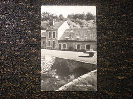 FELENNE, Le Moulin, Vue Rare (F5) - Beauraing