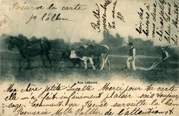 Aux Labours Laboureurs Cheval Et Vaches  Aux Labours Carte De Suisse Swizeriza Schweiz 30.08;1902 Vaud - Wagengespanne