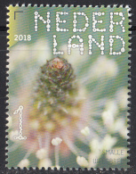 Nederland - Beleef De Natuur - Veldbloemen - Weegbree - MNH - NVPH 3641 - Sonstige