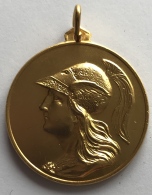 Médaille En Bronze Doré. Centro Studi  Scambi Internazionali Di Roma. 39 Mm - Firma's