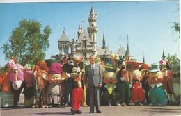 Disneyland - Card Sent To Denmark 1984. S-2381 - Disneyland