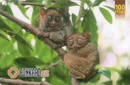 FILIPINAS. PH-PLDT-0024B. Fauna - Philippine Tarsiers. (Exp 08.31.2000). (030) - Philippines