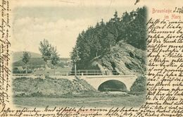 003273 Braunlage Im Harz - Steinklippenpavillon 1900 - Braunlage