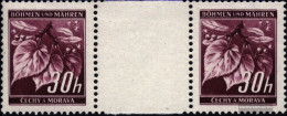 Bohemia And Moravia 24ZW Between Steg Couple Unmounted Mint / Never Hinged 1939 Clear Brands - Nuovi