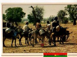 BURKINA FASO Province De Sanimatenga Le Deplacement Ou Le Demenagement De La Famille A Dos D'ane - Burkina Faso