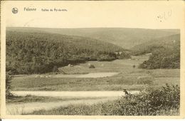 CP De FELENNE " Vallée Du Ry-de-min " - Beauraing