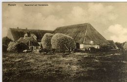 AK Husum -"BAUERNHOF AUF NORDSTRAND"     -selten !!! - Husum