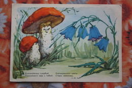 Humour.  Old Soviet Postcard  -  Osadchaya  -   Champignon  - Mushroom 1959 - Mushrooms