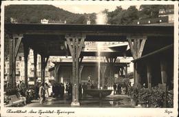 11247155 Karlsbad Eger Boehmen Springbrunnen Beroun - Günzburg