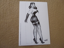 BELLE ILLUSTRATION...STOCKINGS AND HIGH HEELS N°2 ...SIGNE CHRIS - Pin-Ups