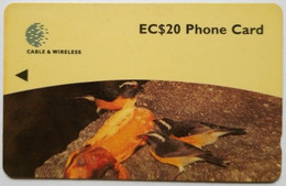 Dominica Cable And Wireless 248CDMB    EC$20  "Bananaquit Birds " - Dominica