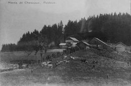 Monts De Cheseaux, Puidoux - Puidoux