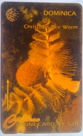 7CDMK Christmas Tree Worm EC$20 - Dominica