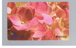 BRASILE ( BRAZIL) - BRASILTELECOM   - 2004   FLOWERS: HYDRANGEA HORTENCIS                - USED - RIF.10480 - Fleurs