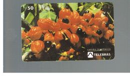 BRASILE ( BRAZIL) - TELEBRAS   -  1994  PLANTS: GUARANA' (PAULINIA CUPANA)  - USED - RIF.10484 - Fleurs