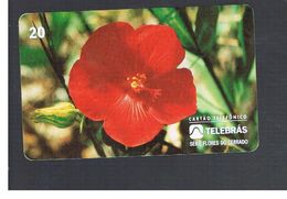 BRASILE ( BRAZIL) - TELEBRAS   -   1995 PLANTS: PAVONIA   - USED - RIF.10488 - Fleurs