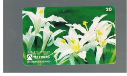 BRASILE ( BRAZIL) - TELEBRAS   -   1995 PLANTS: VELLOZIA   - USED - RIF.10490 - Fleurs